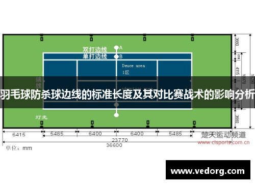 羽毛球防杀球边线的标准长度及其对比赛战术的影响分析