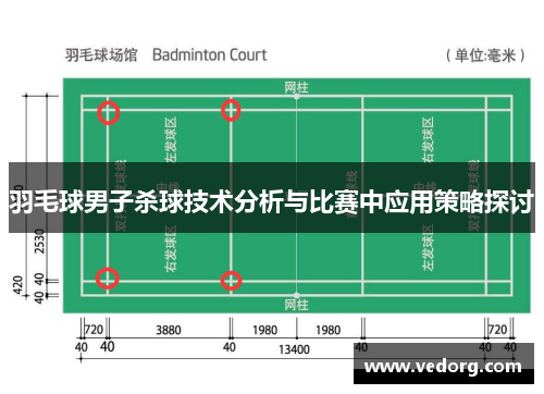 羽毛球男子杀球技术分析与比赛中应用策略探讨
