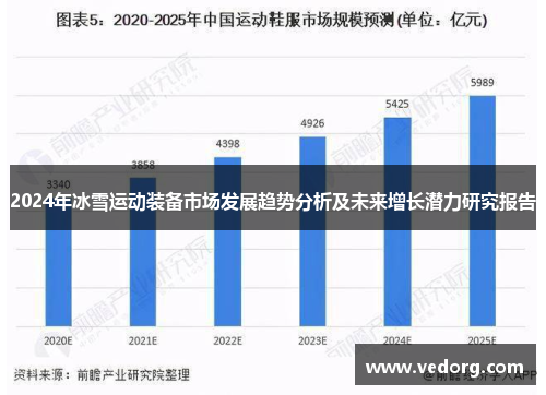 2024年冰雪运动装备市场发展趋势分析及未来增长潜力研究报告