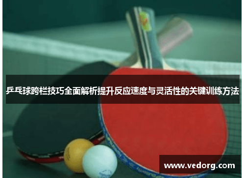 乒乓球跨栏技巧全面解析提升反应速度与灵活性的关键训练方法
