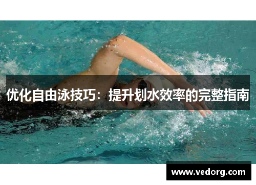 优化自由泳技巧：提升划水效率的完整指南