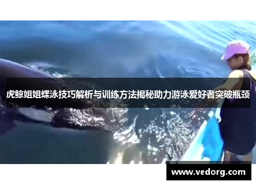 虎鲸姐姐蝶泳技巧解析与训练方法揭秘助力游泳爱好者突破瓶颈