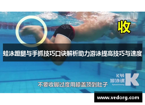 蛙泳蹬腿与手抓技巧口诀解析助力游泳提高技巧与速度